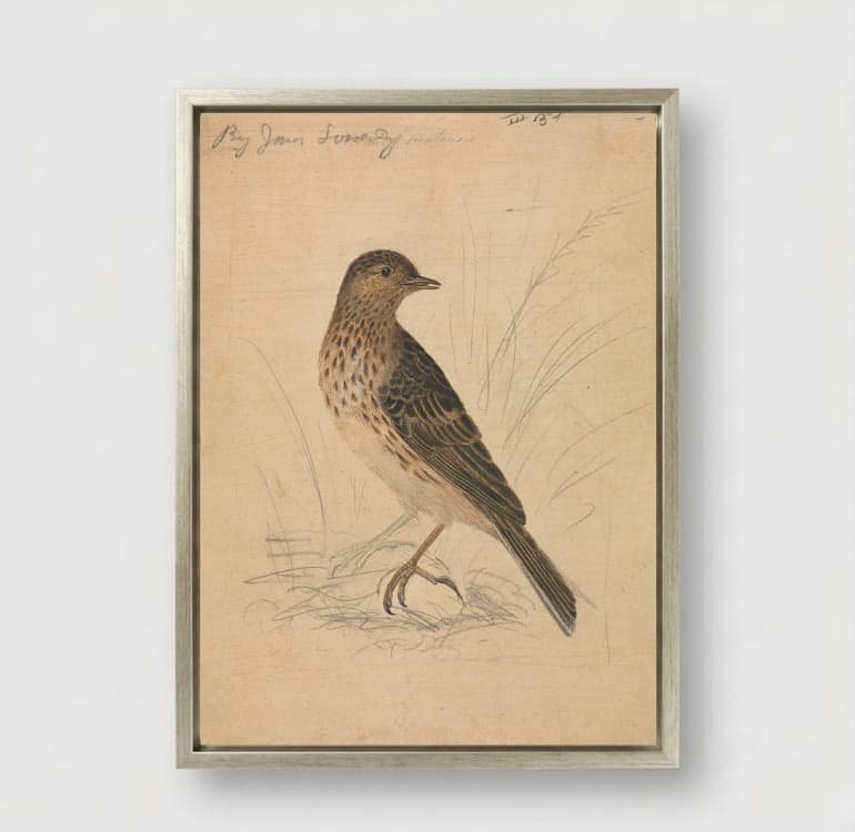 Quiet Perch - Image 8