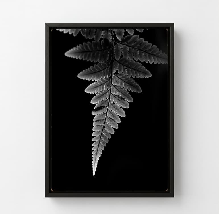 Shadow Leaf - Image 6