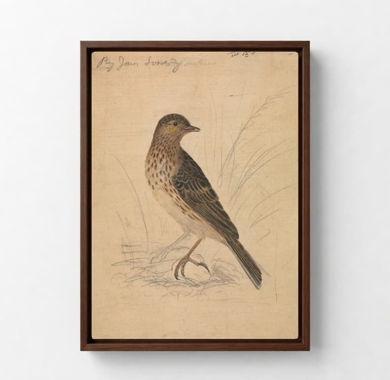 Quiet Perch - Image 4