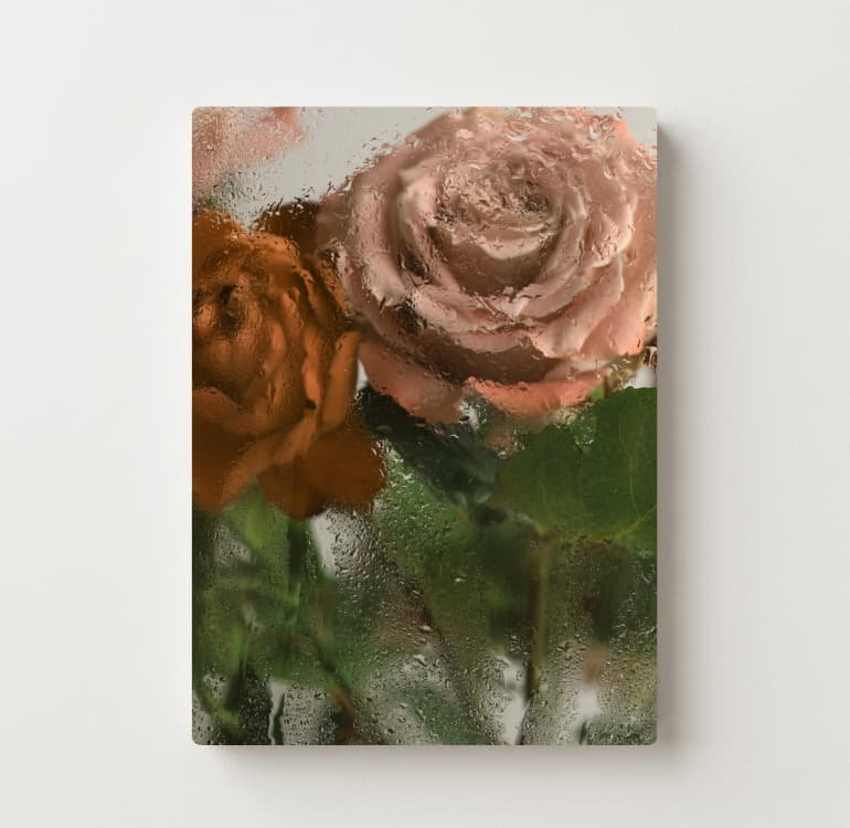 Mist Rose