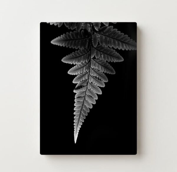 Shadow Leaf