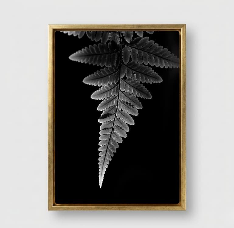 Shadow Leaf - Image 3