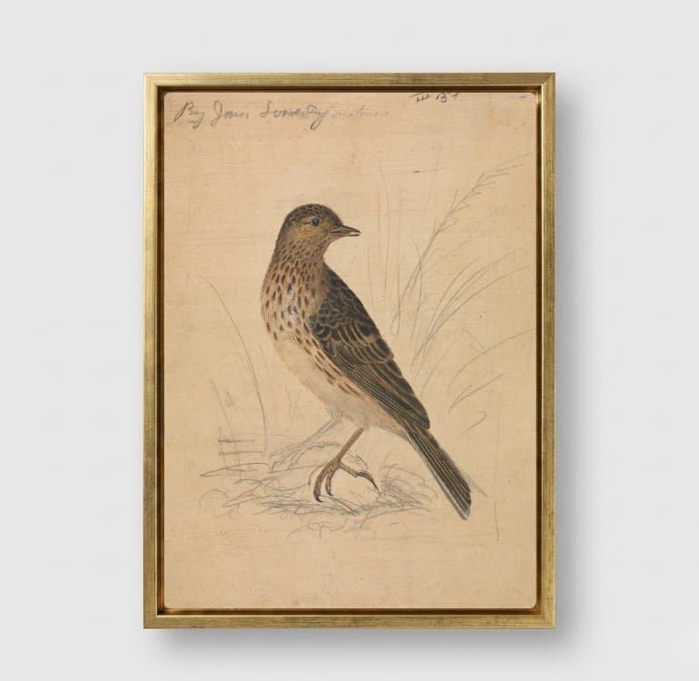 Quiet Perch - Image 6
