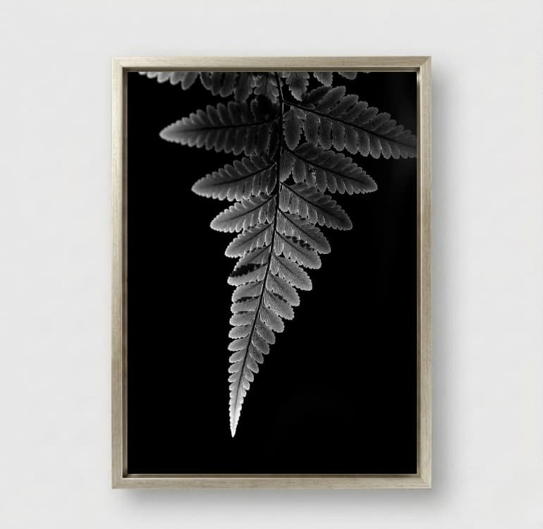 Shadow Leaf - Image 8