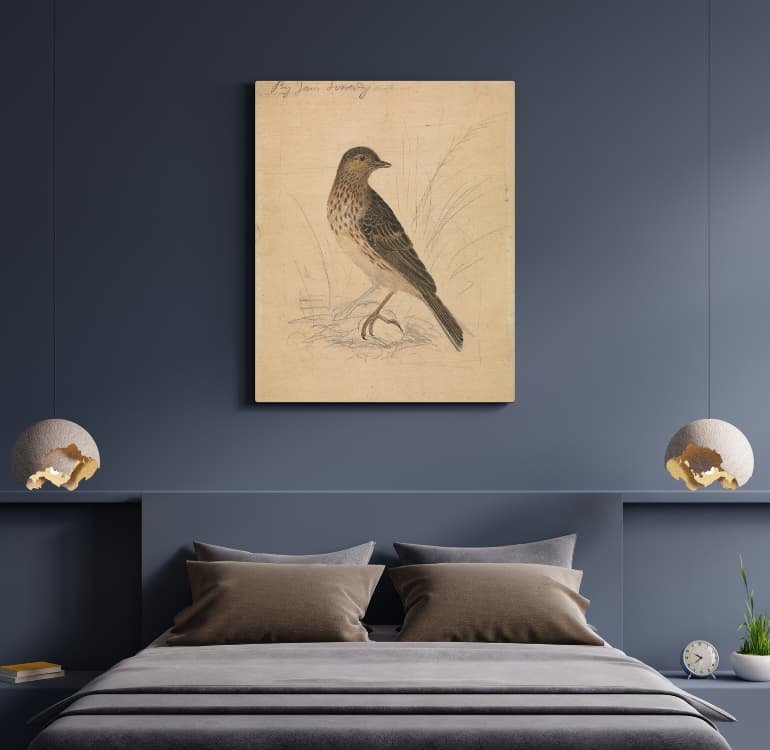 Quiet Perch - Image 2
