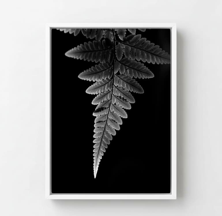 Shadow Leaf - Image 4