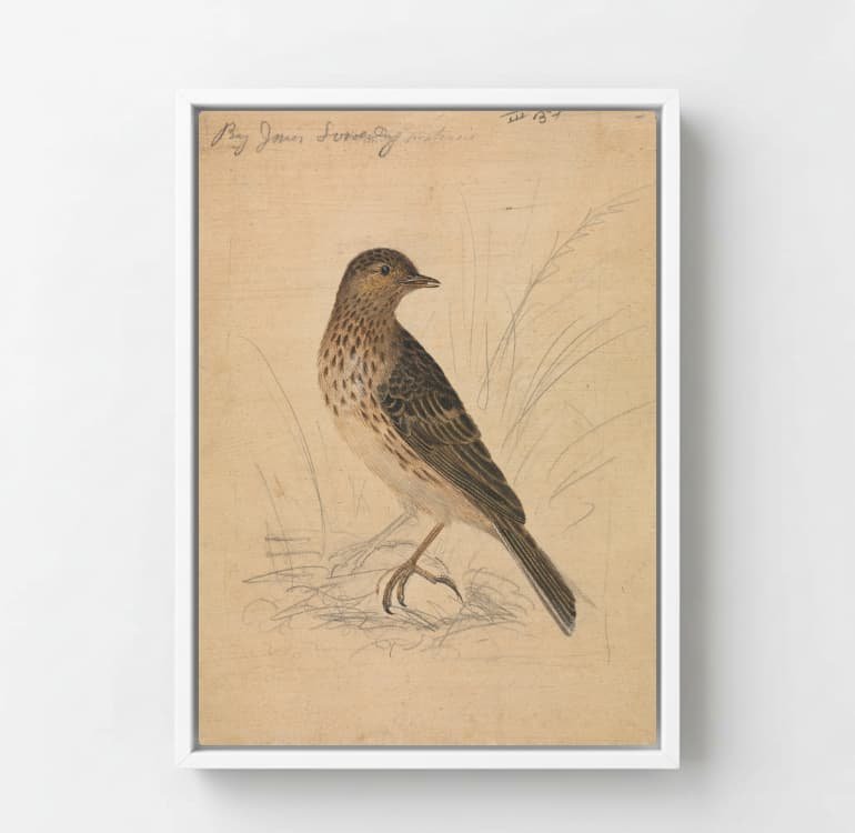 Quiet Perch - Image 7