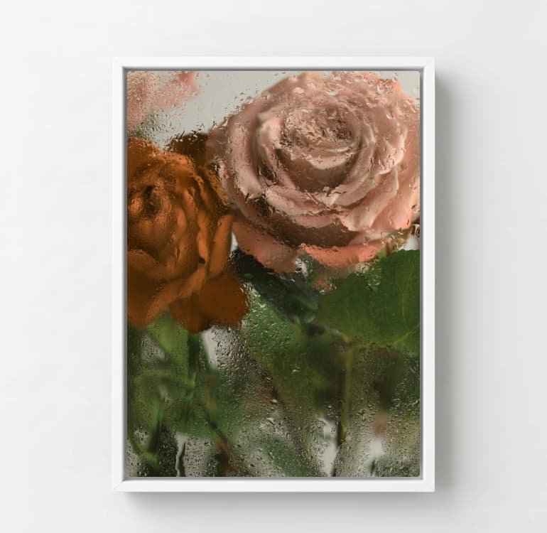Mist Rose - Image 7